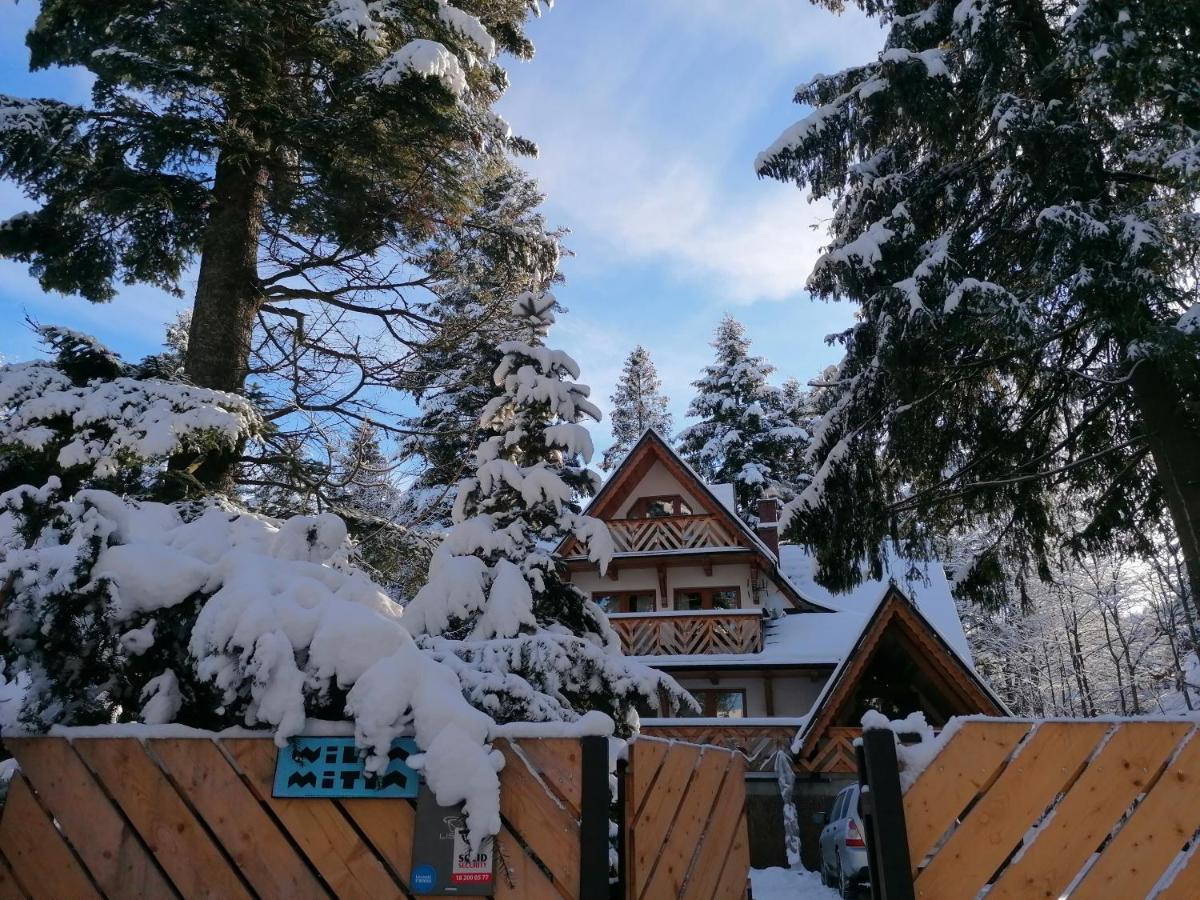 Willa Mitia Zakopane Exterior photo