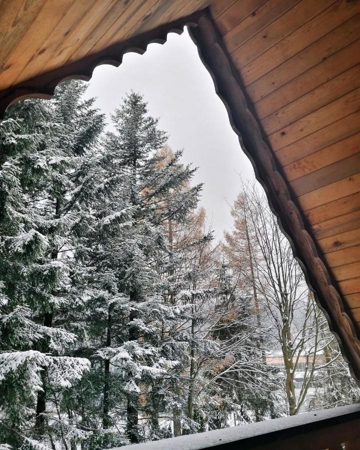 Willa Mitia Zakopane Exterior photo