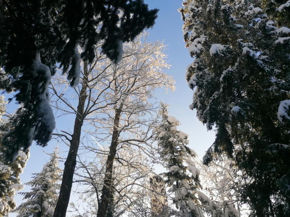 Willa Mitia Zakopane Exterior photo