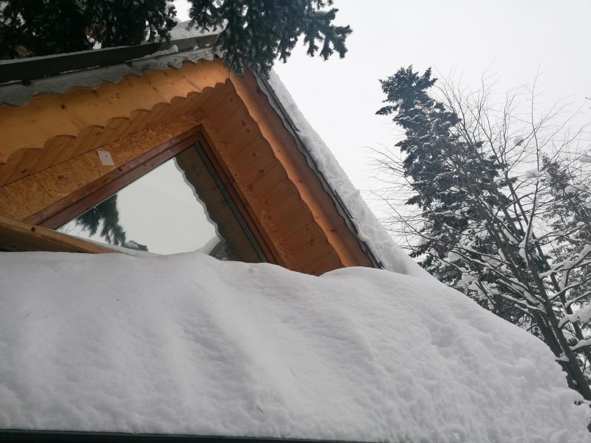 Willa Mitia Zakopane Exterior photo