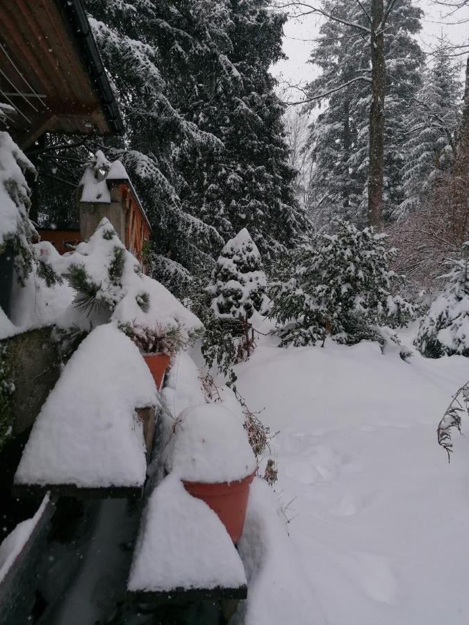 Willa Mitia Zakopane Exterior photo
