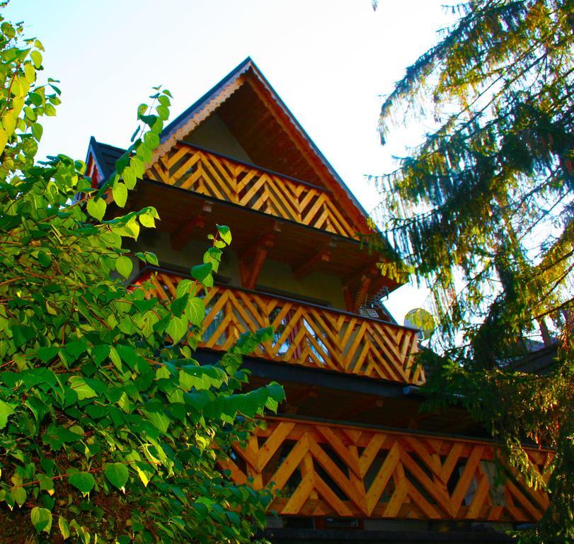 Willa Mitia Zakopane Exterior photo