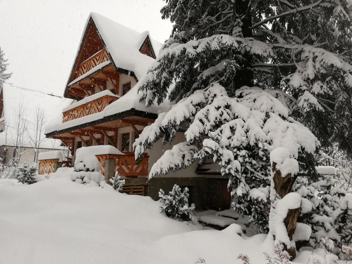 Willa Mitia Zakopane Exterior photo